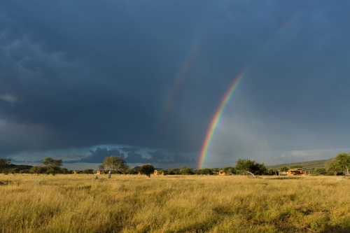 Okonjima Plains Camp omgeving